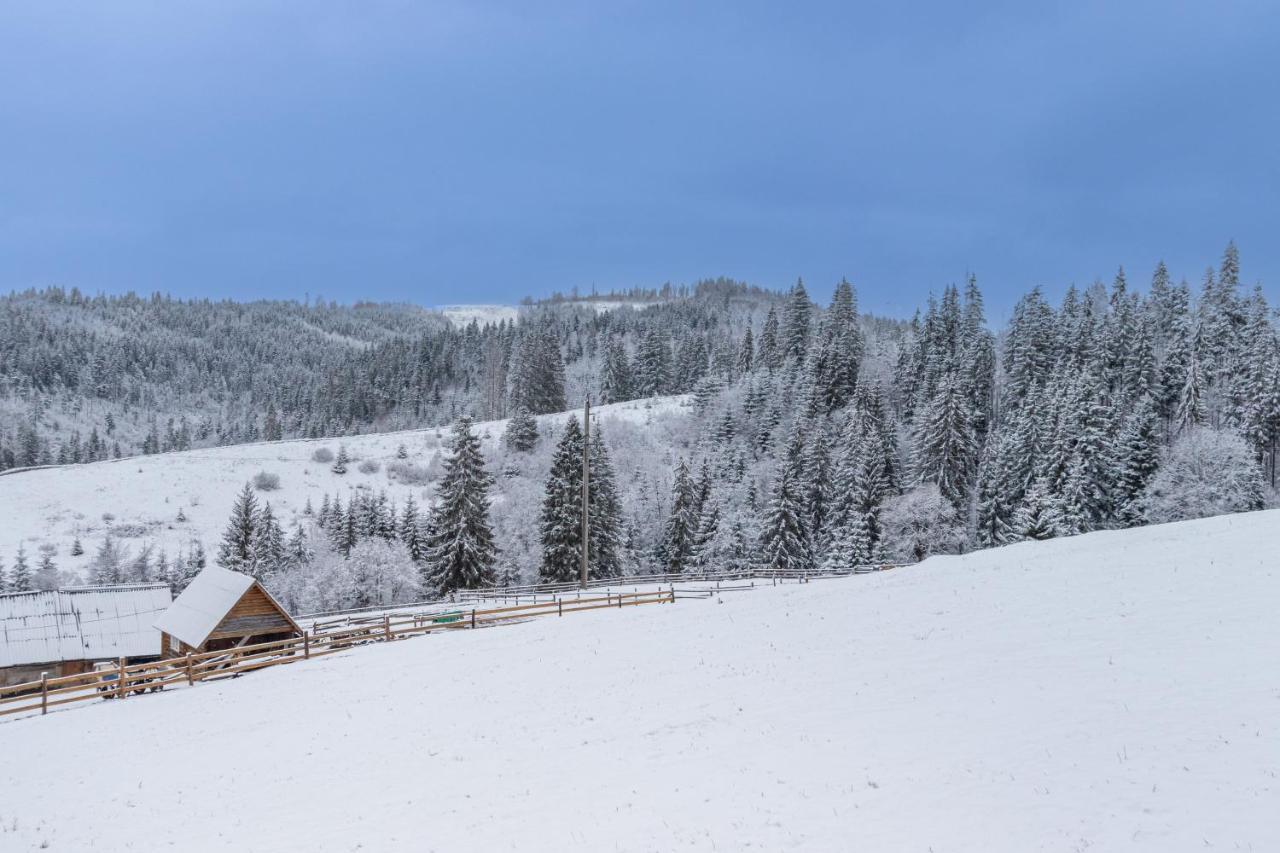 Шепіт Лісу Hotel Bukovel Exterior photo